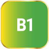 b1