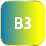 b1