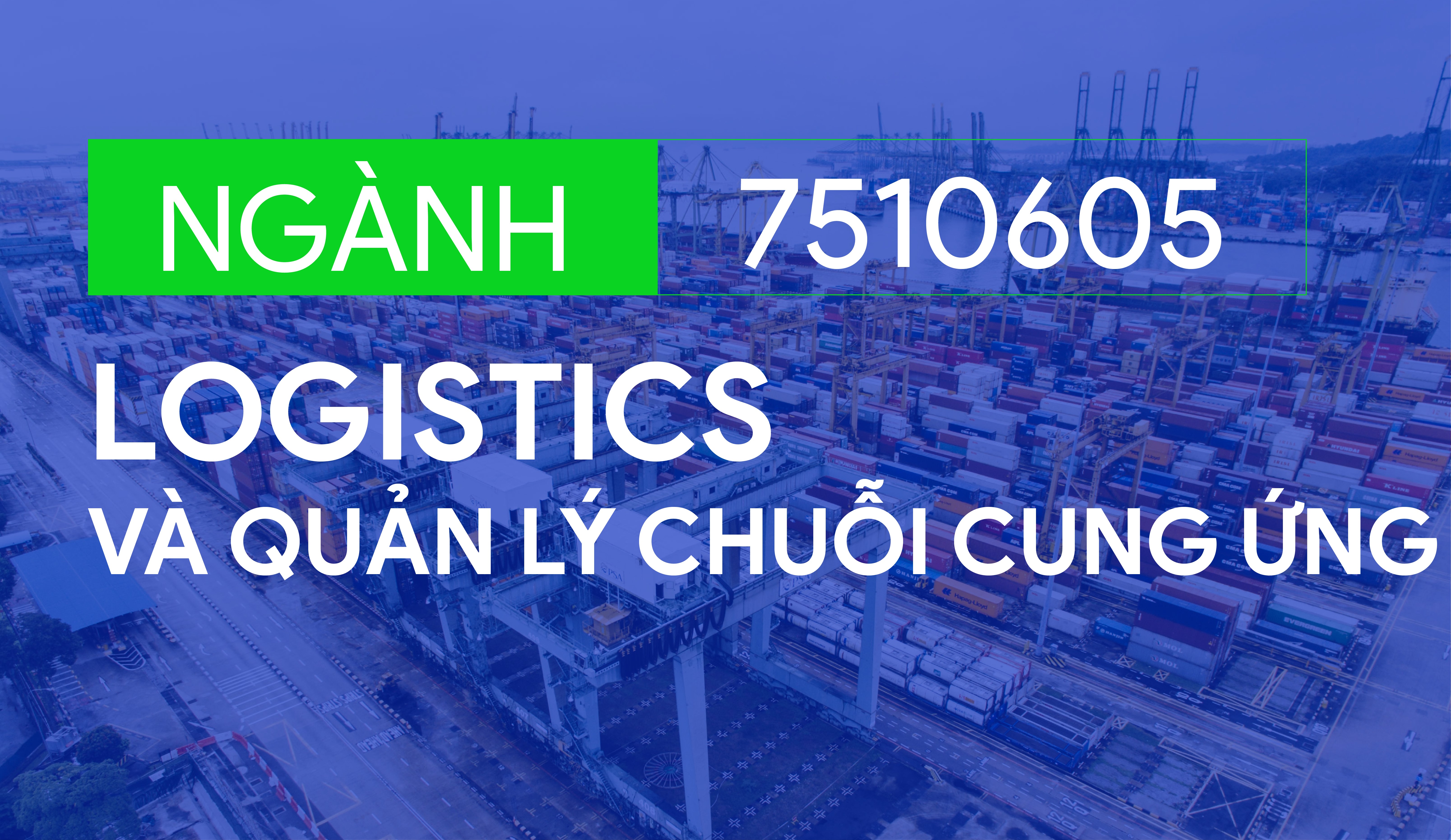 logistics-va-quan-ly-chuoi-cung-ung